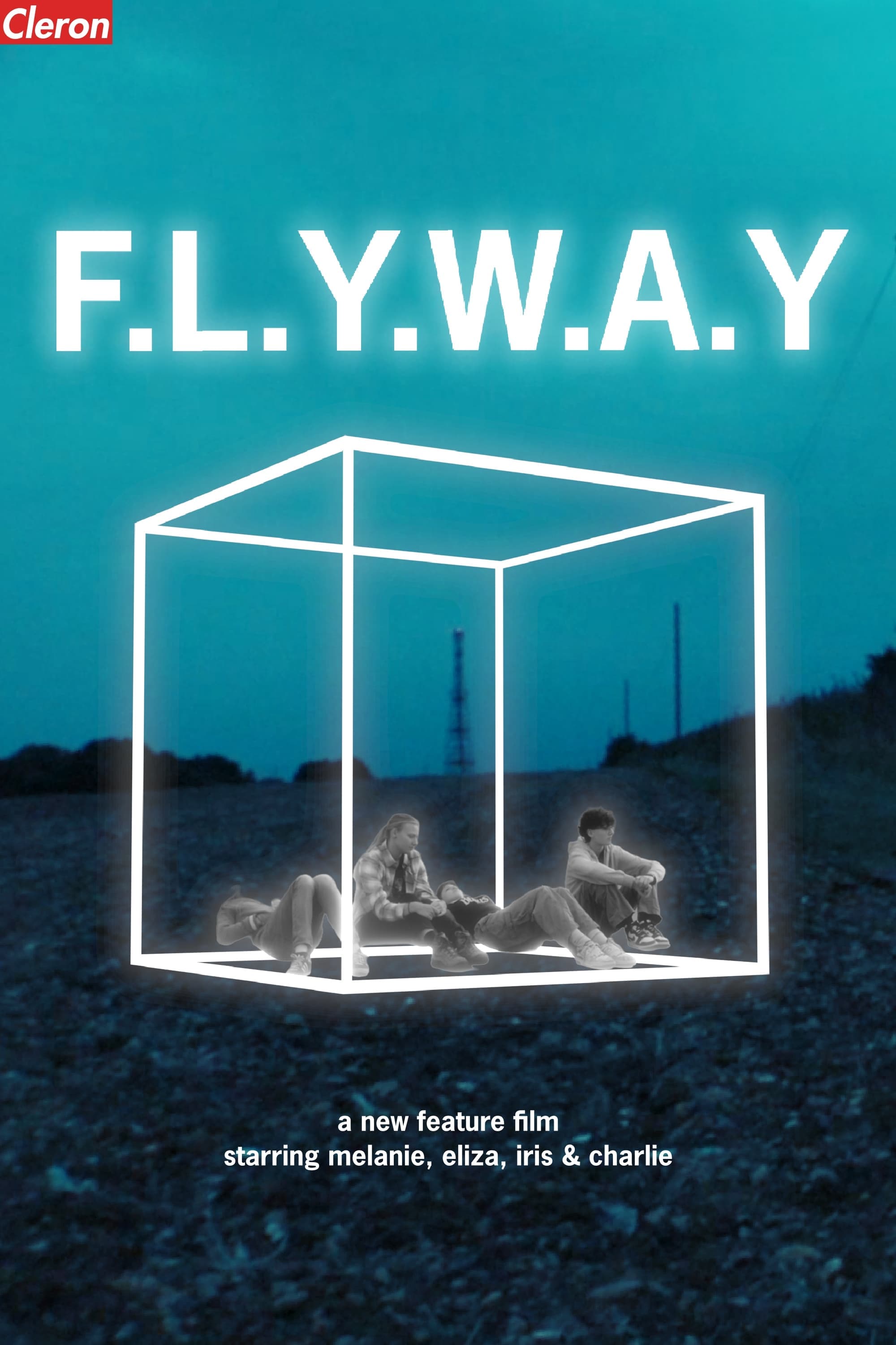 Flyway