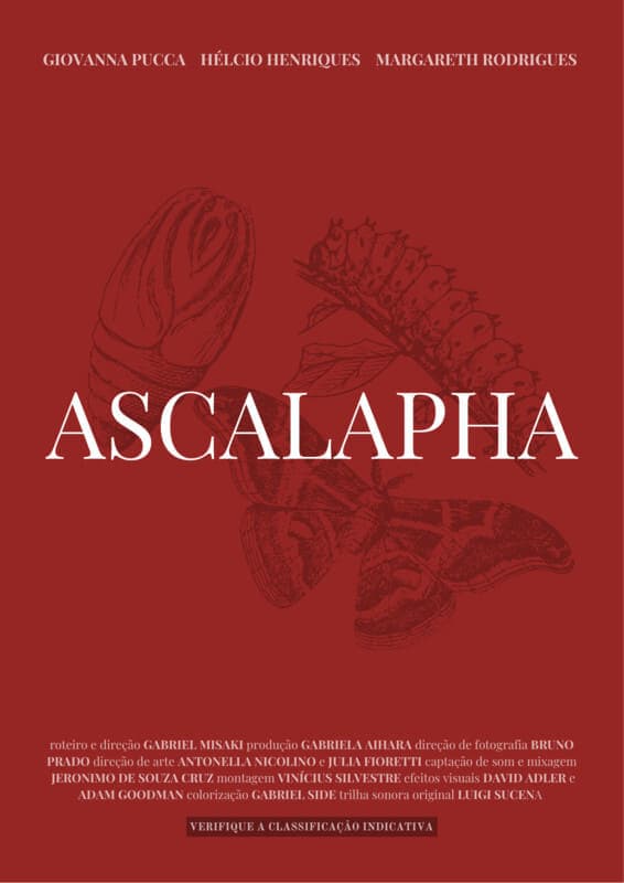 Ascalapha