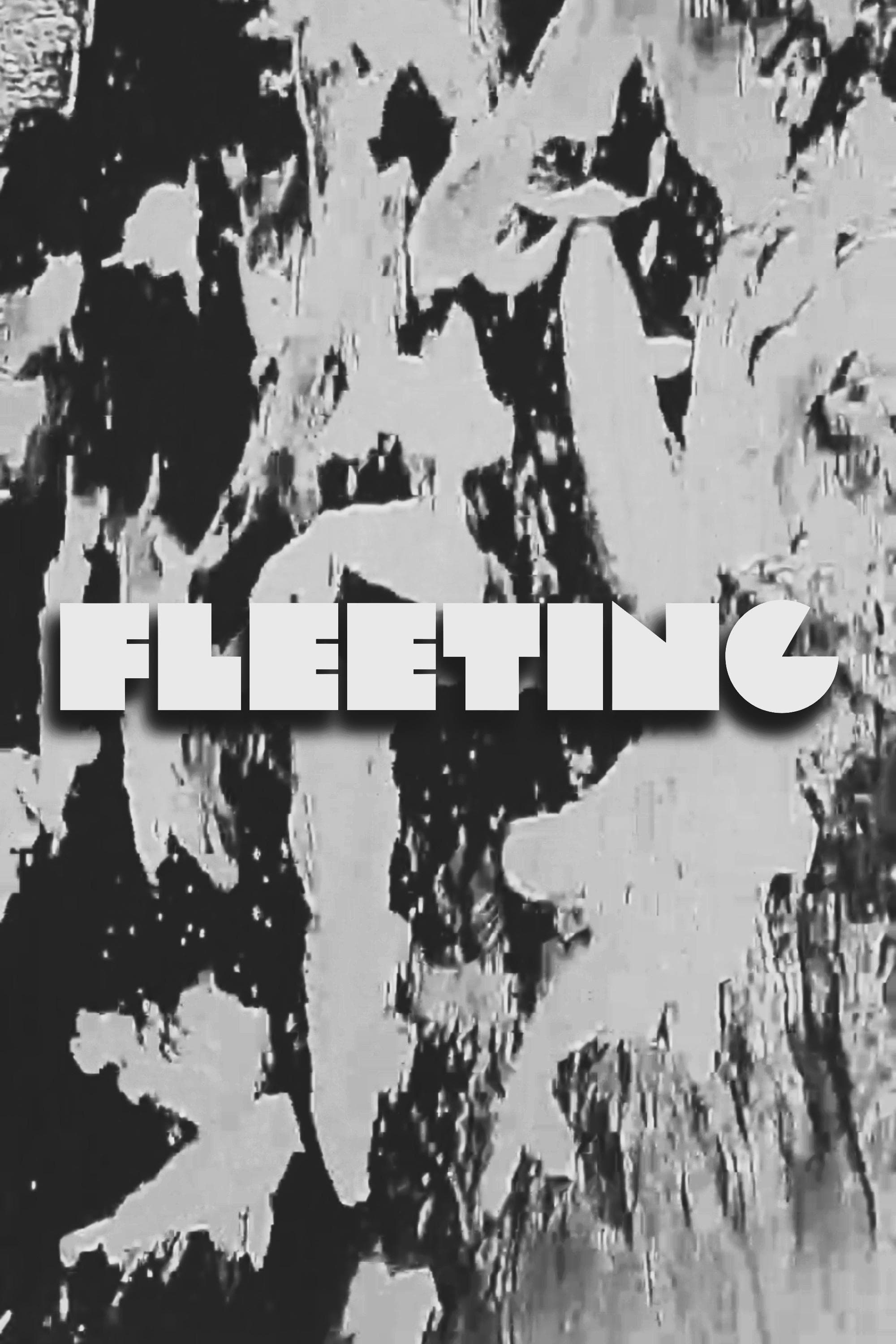 FLEETING