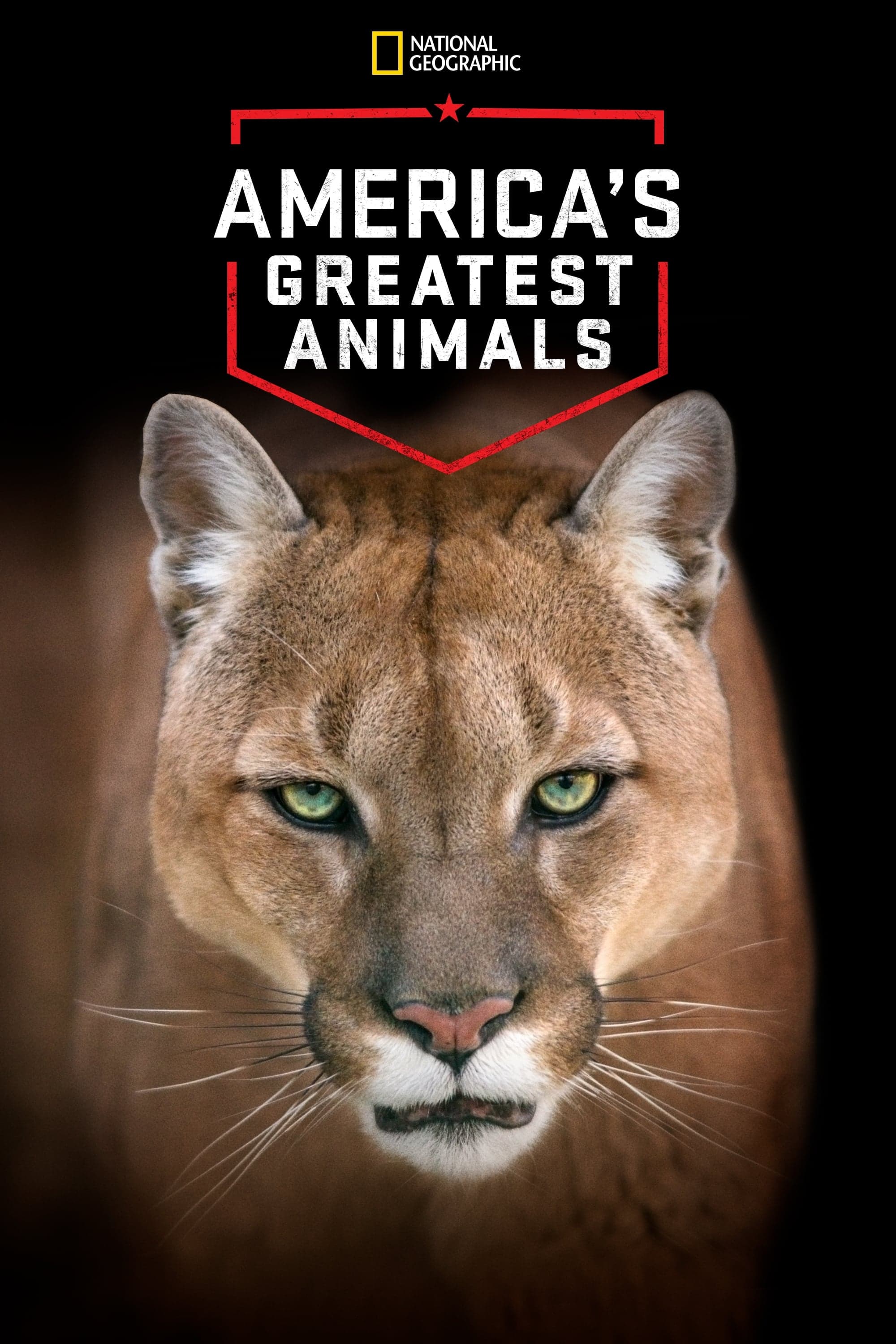 America's Greatest Animals