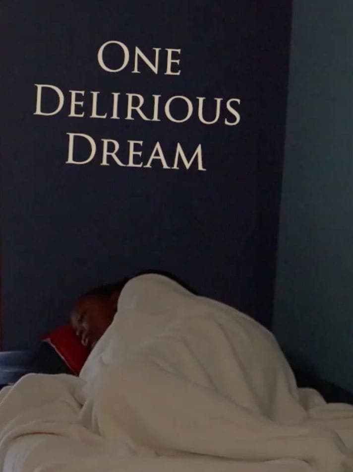 One Delirious Dream