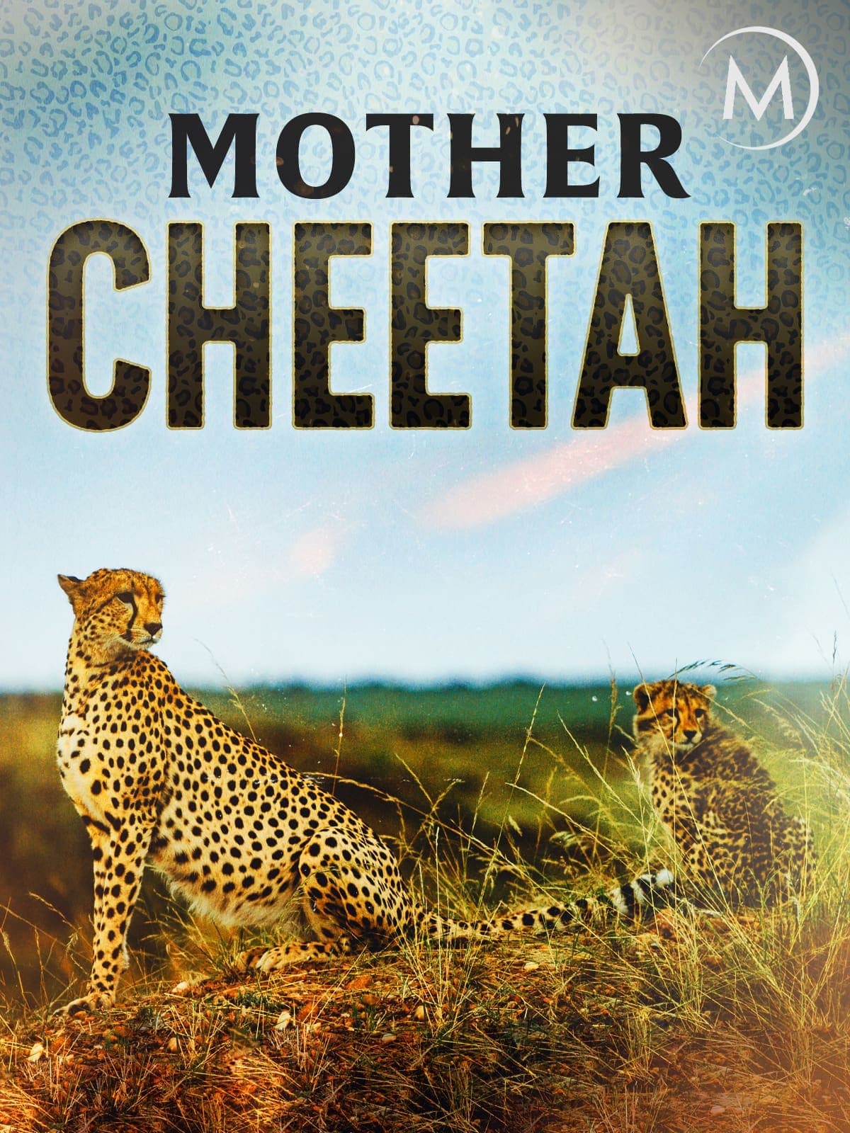 Cheetah Mom