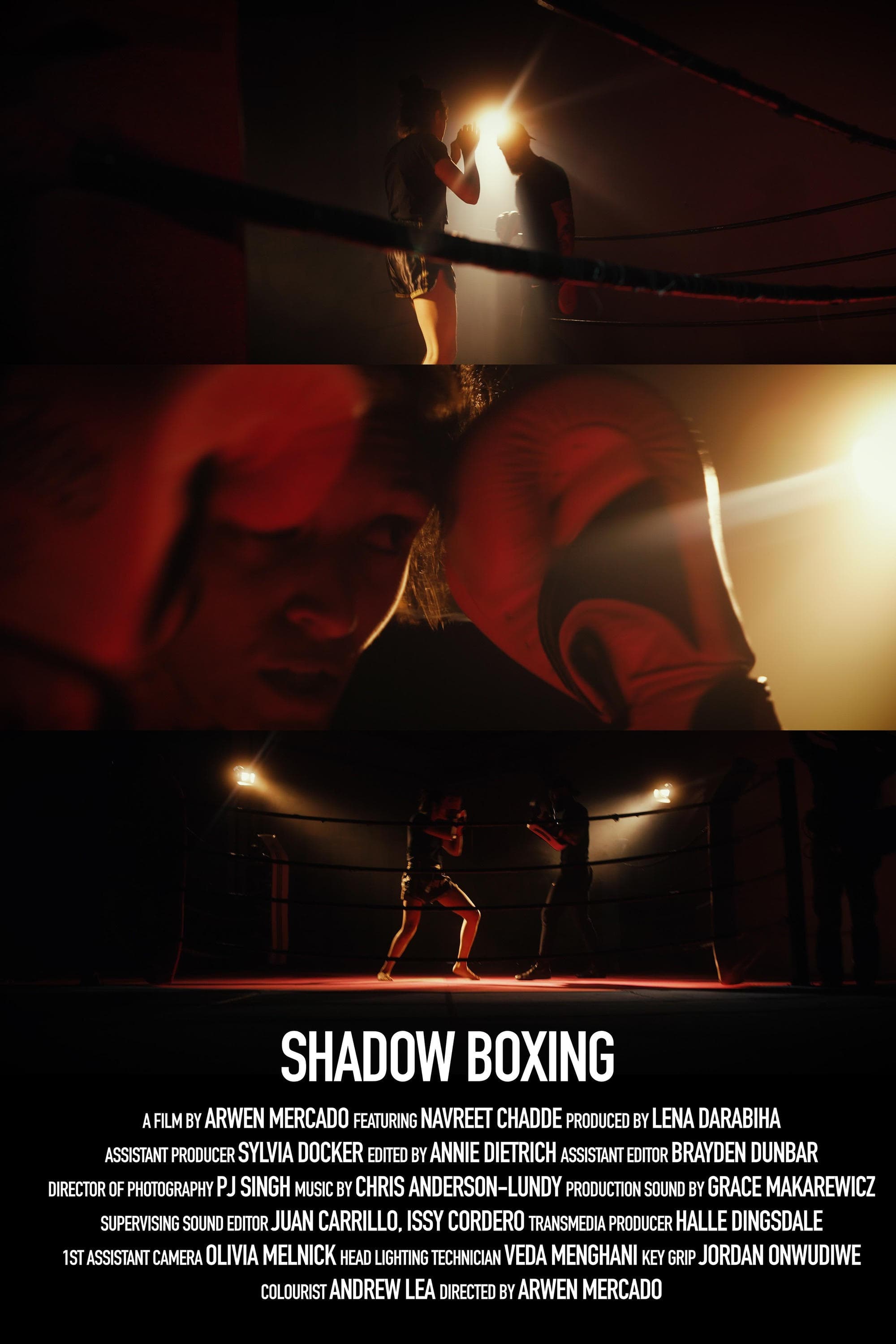 Shadow Boxing