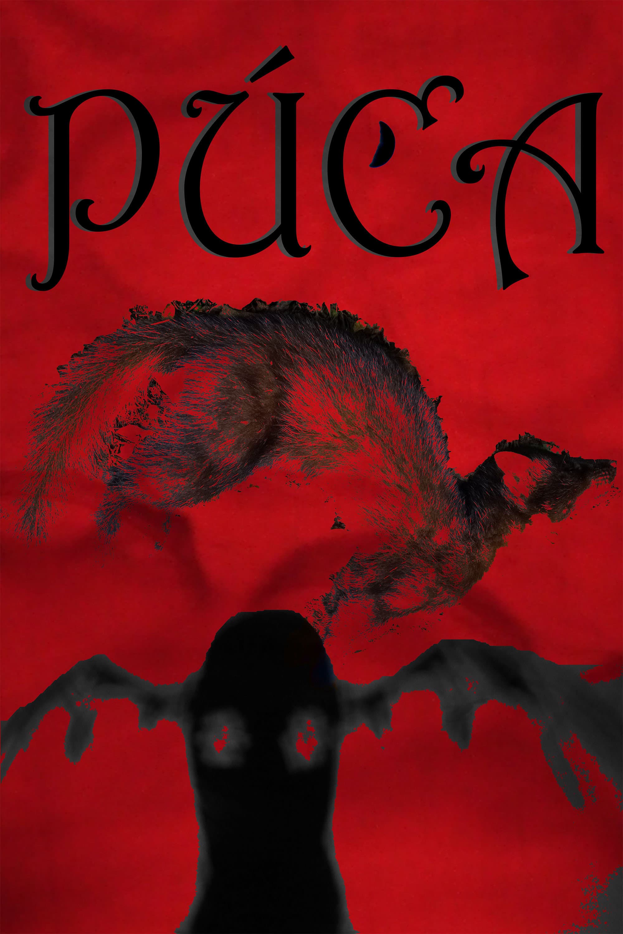 Púca