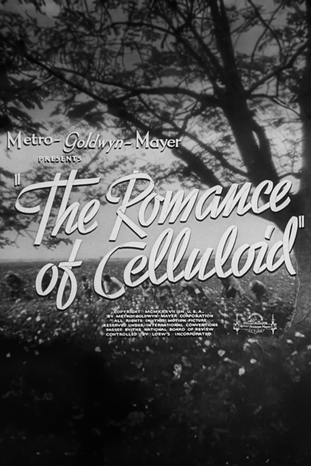 The Romance of Celluloid