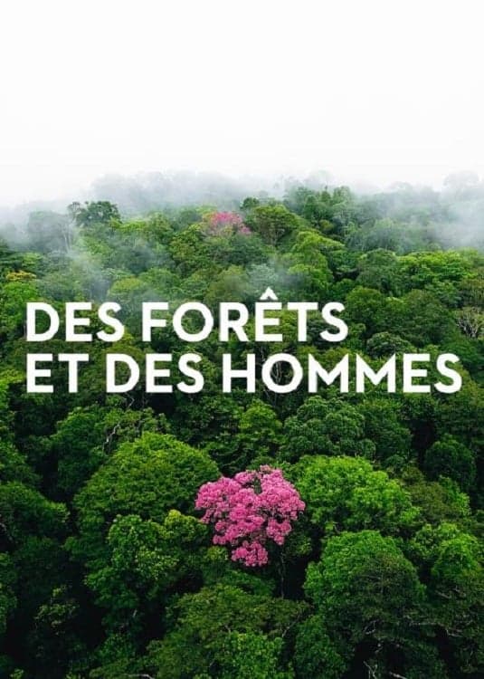 Forests and People