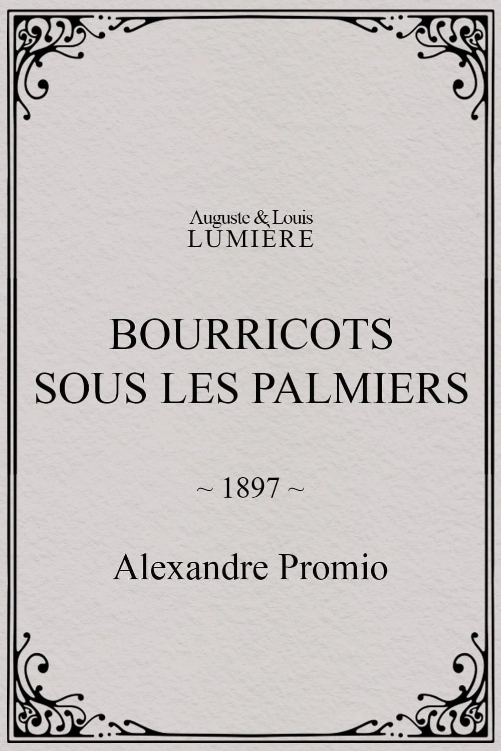 Bourricots sous les palmiers