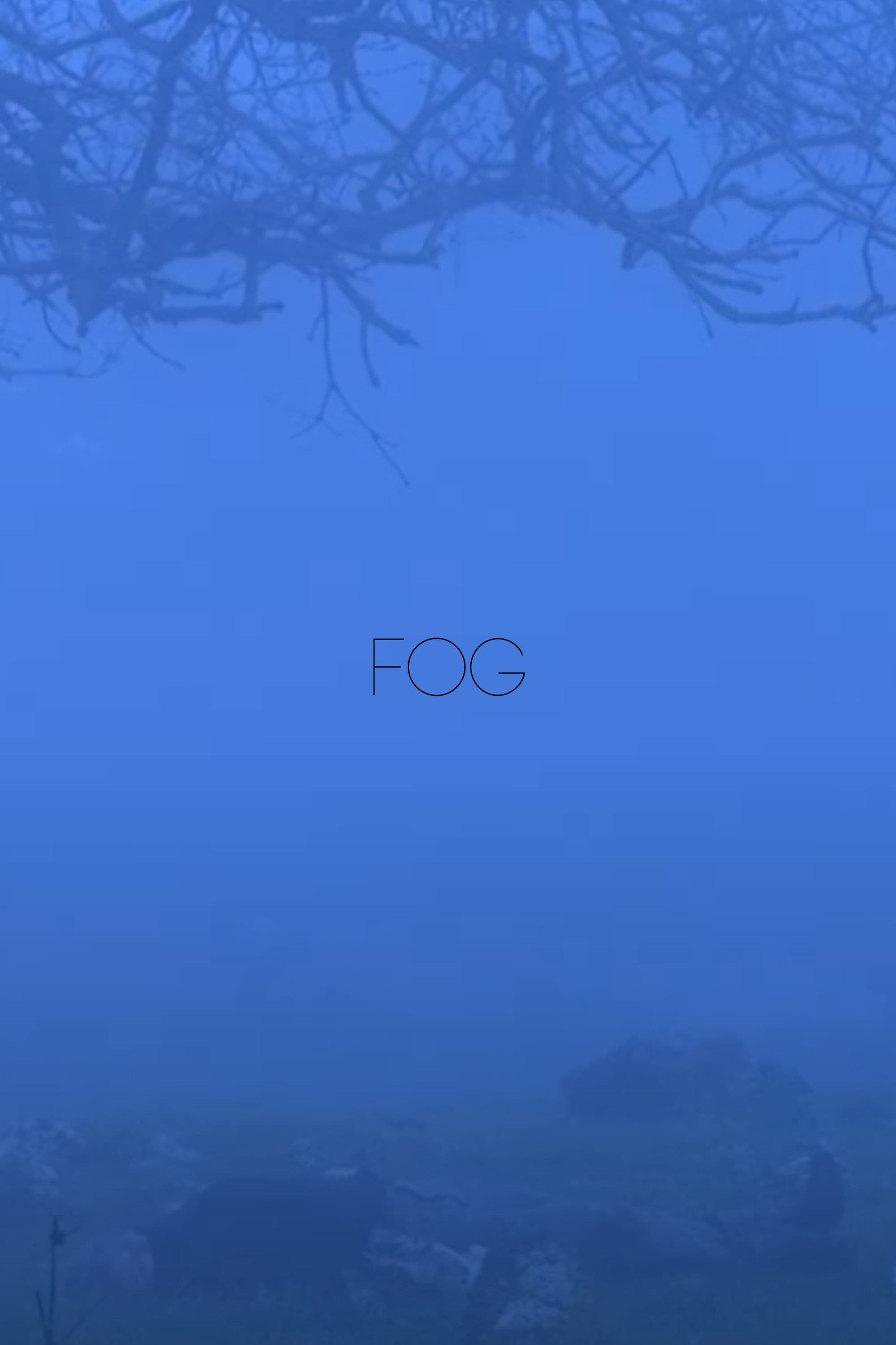 Fog