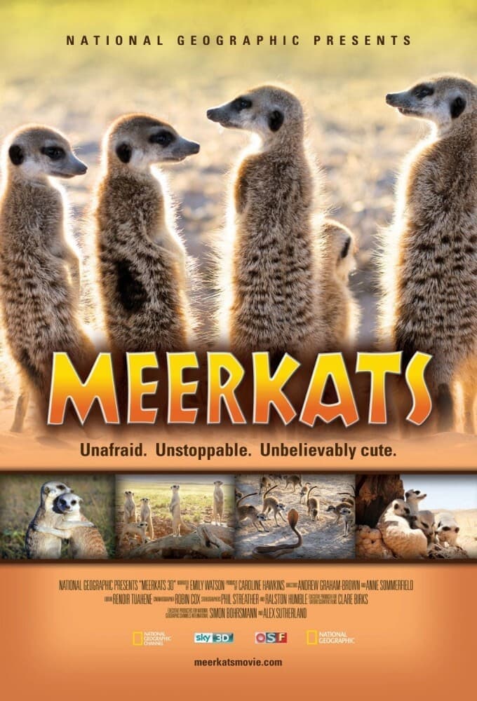 Meerkats 3D