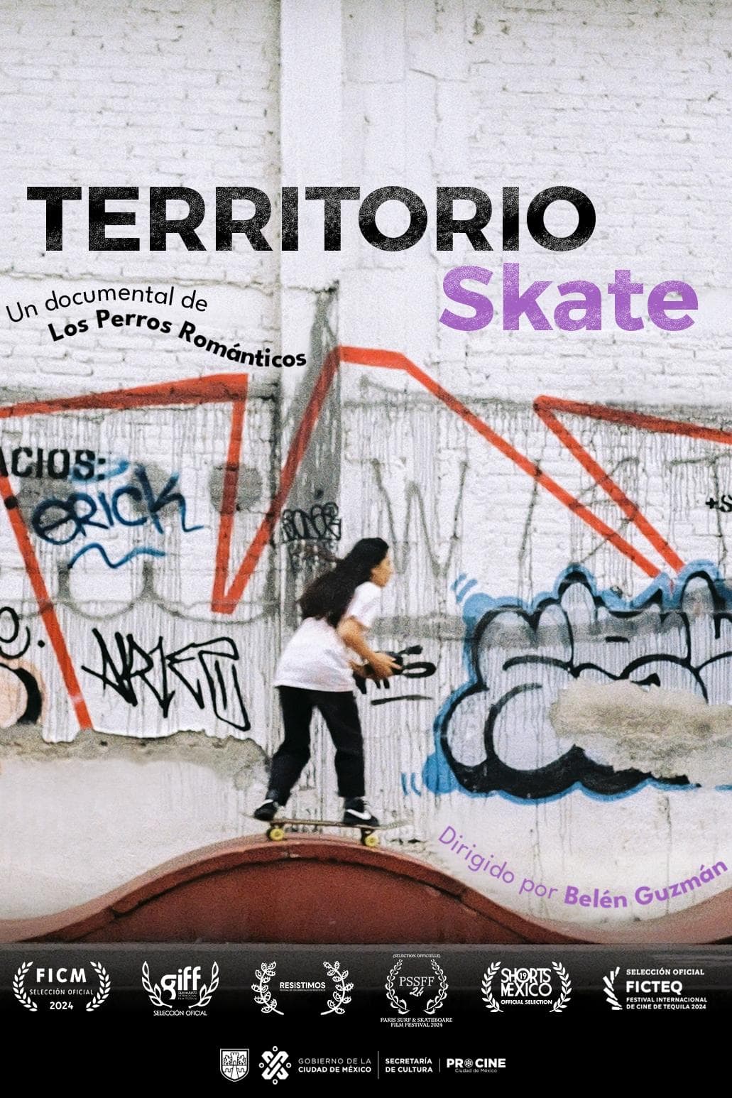 Skate Territory