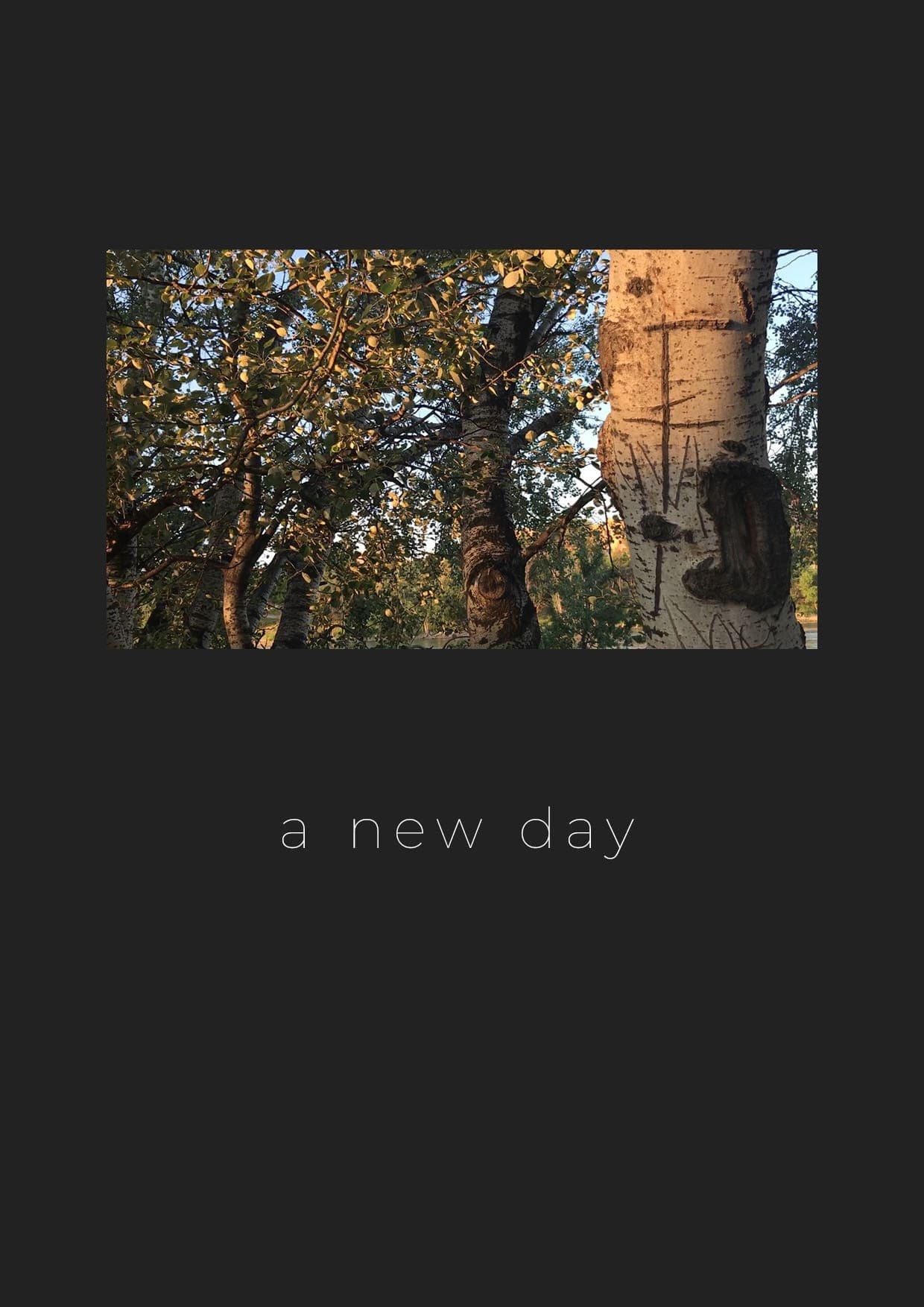 A New Day