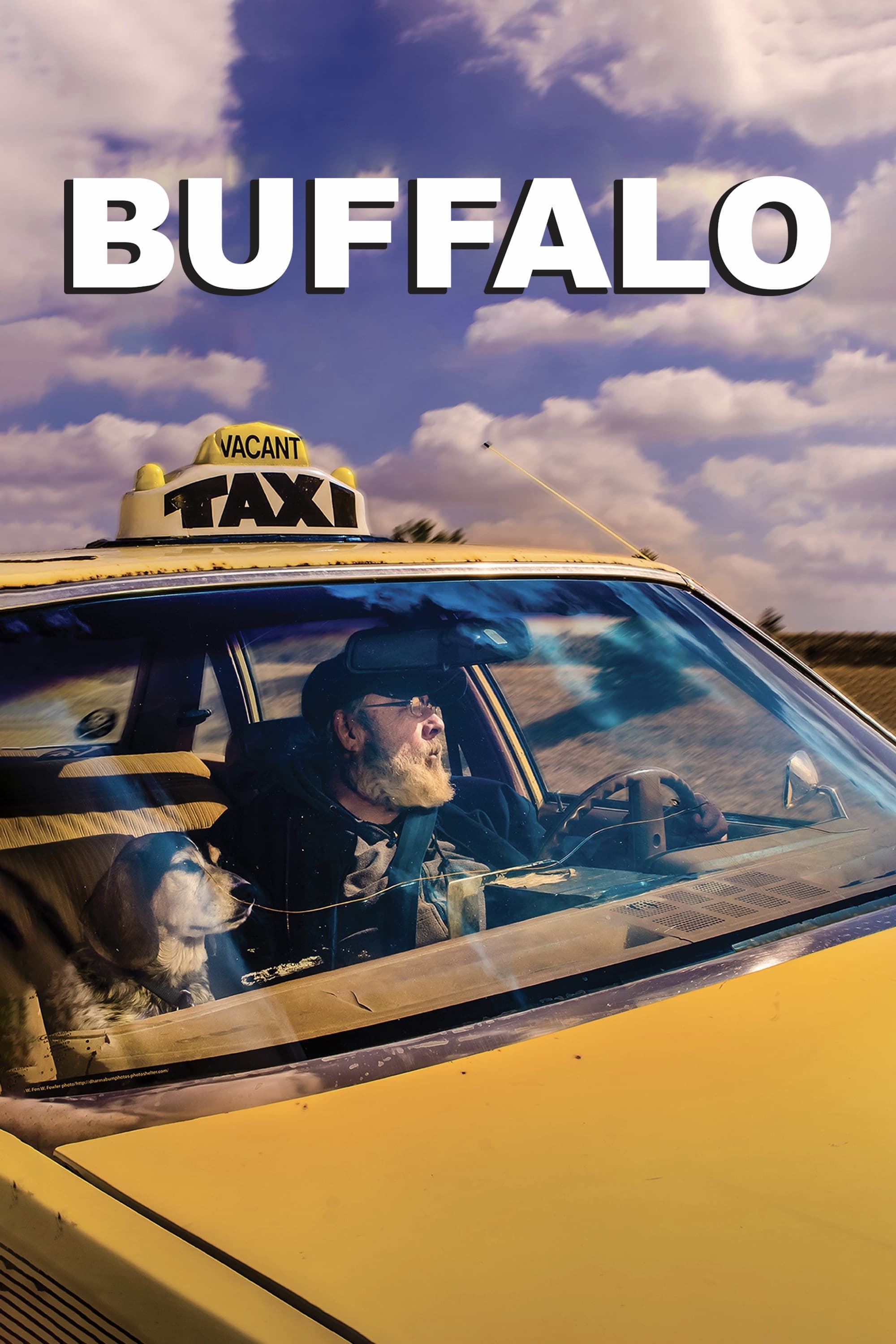 Buffalo