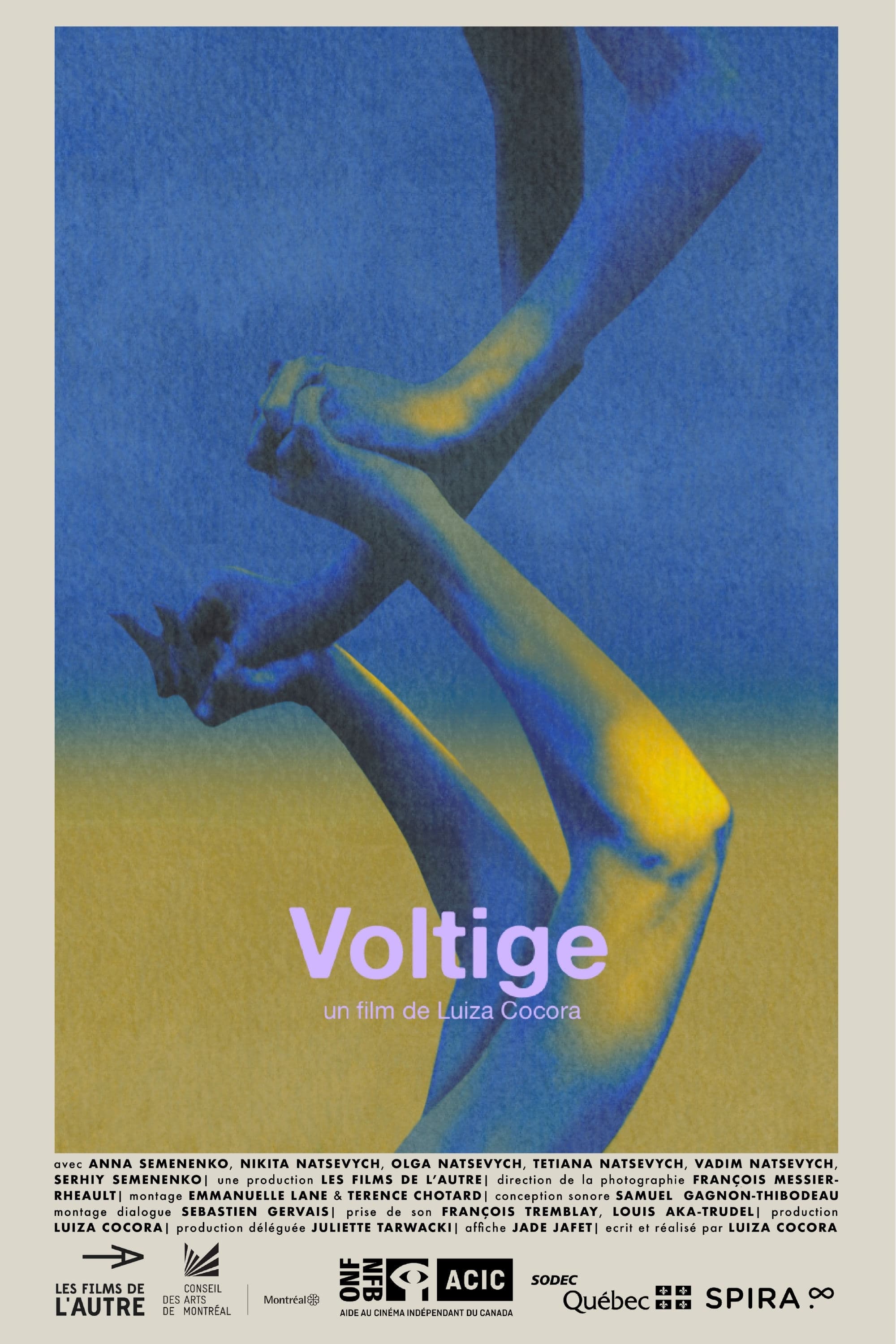 Voltige