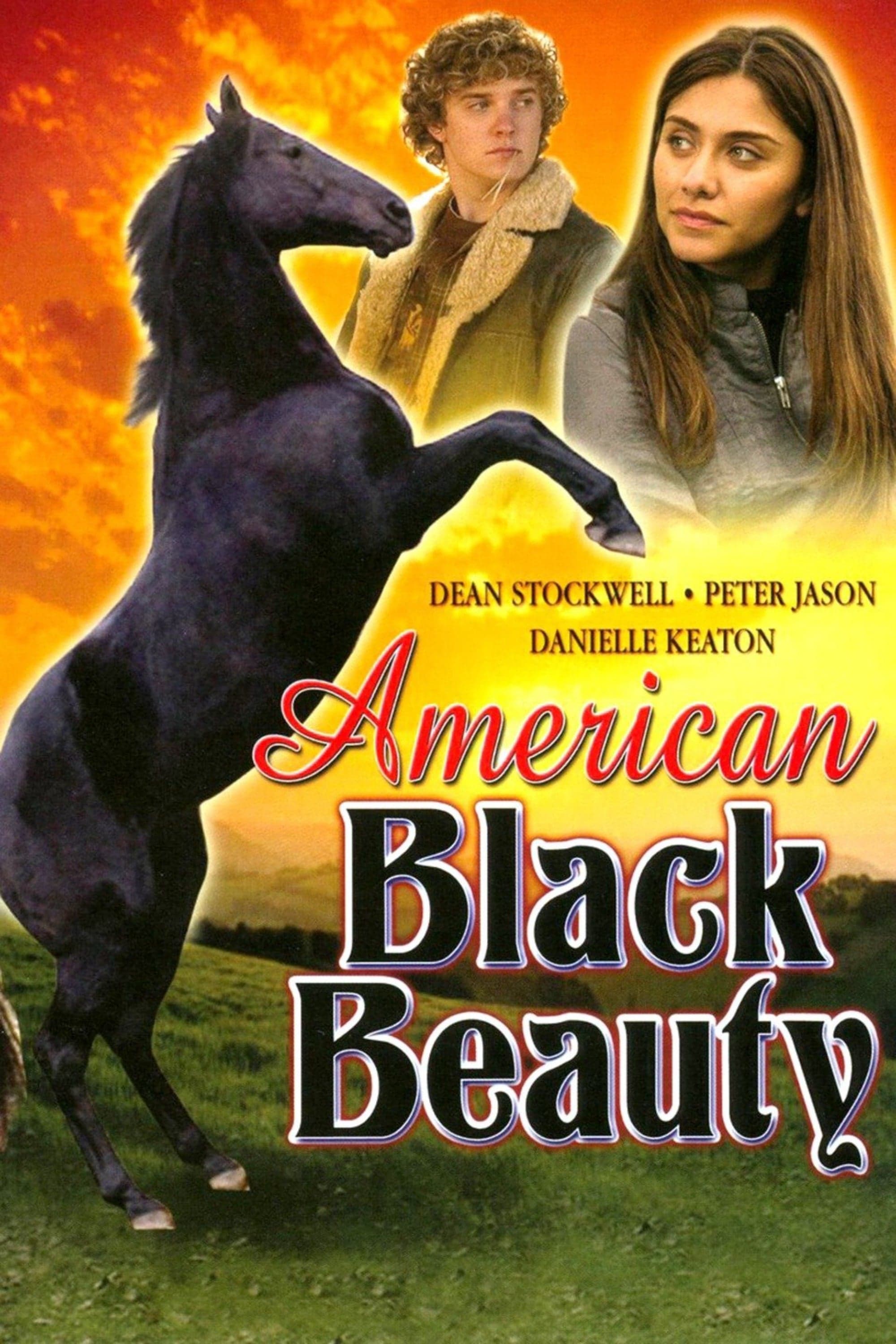 American Black Beauty