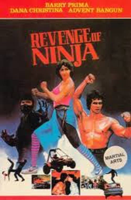 Revenge of the Ninja