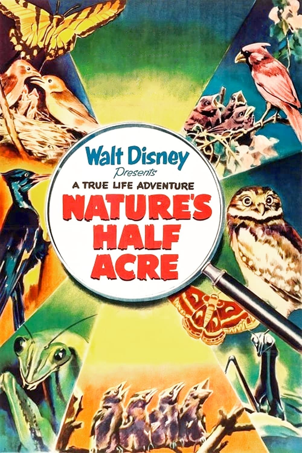 Nature's Half Acre