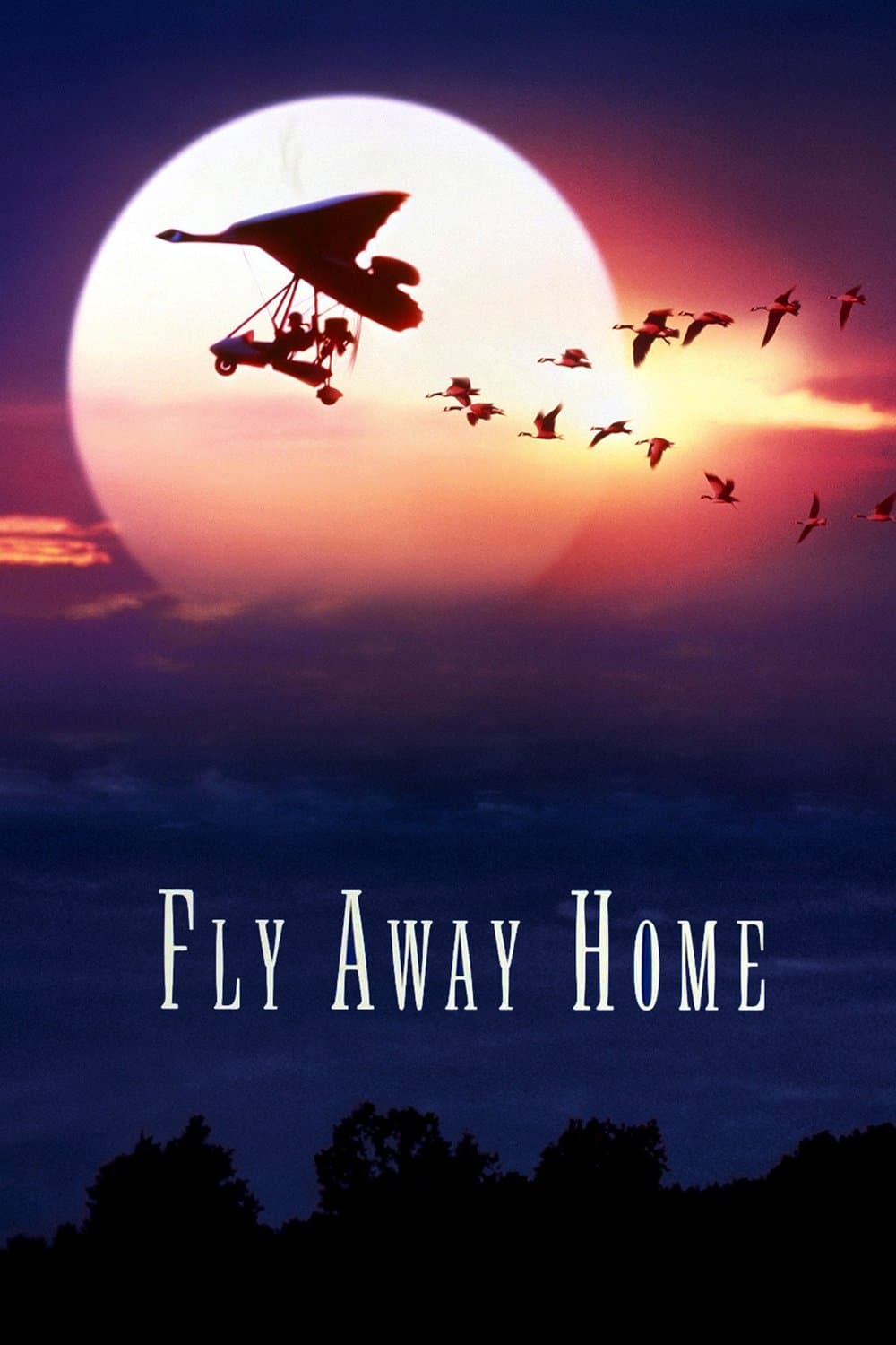 Fly Away Home