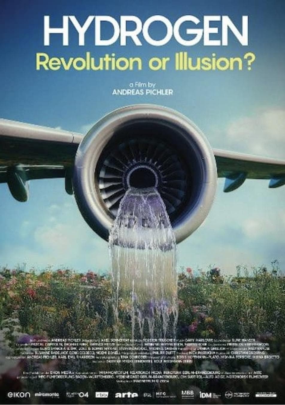 Hydrogen - Revolution or Illusion