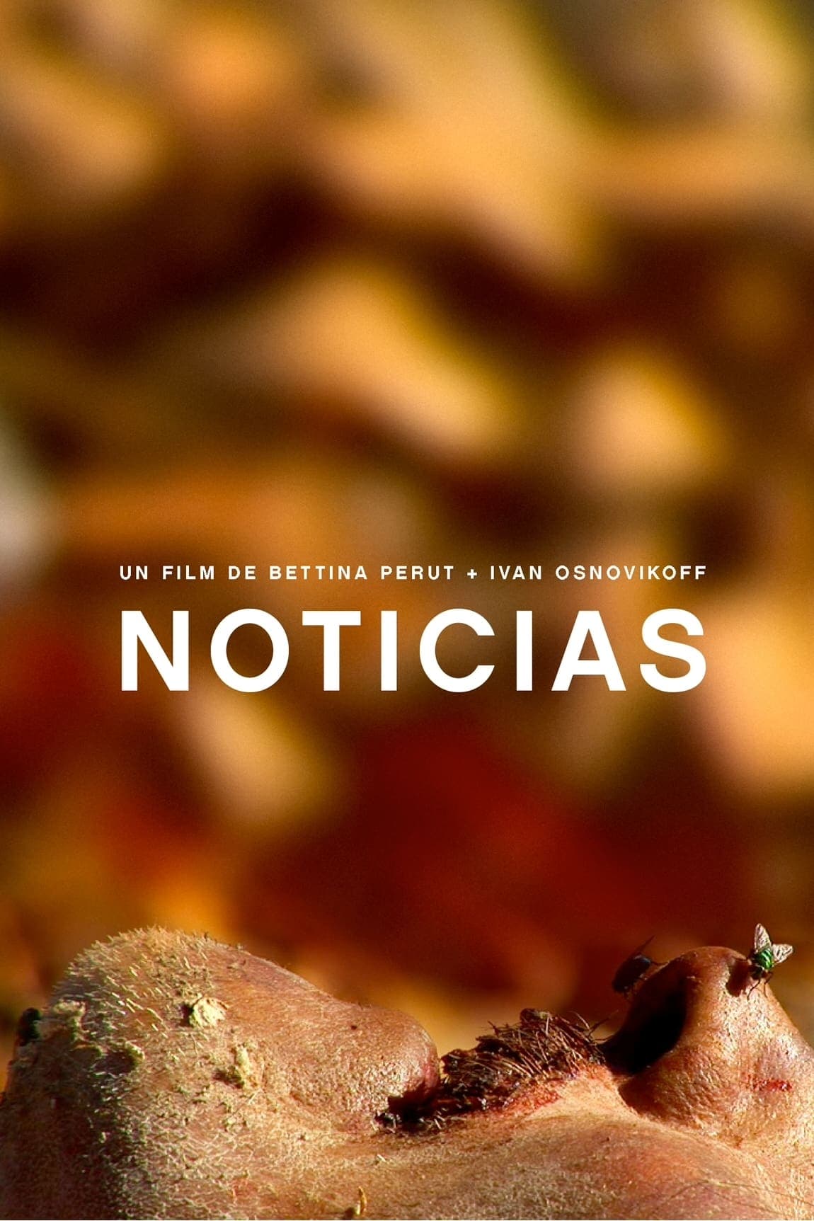 Noticias