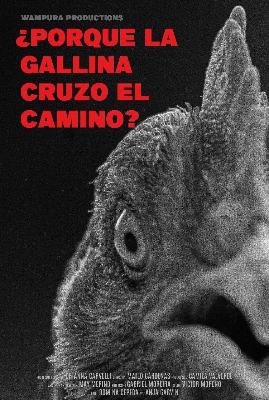 ¿Por qué la gallina cruzó el camino?