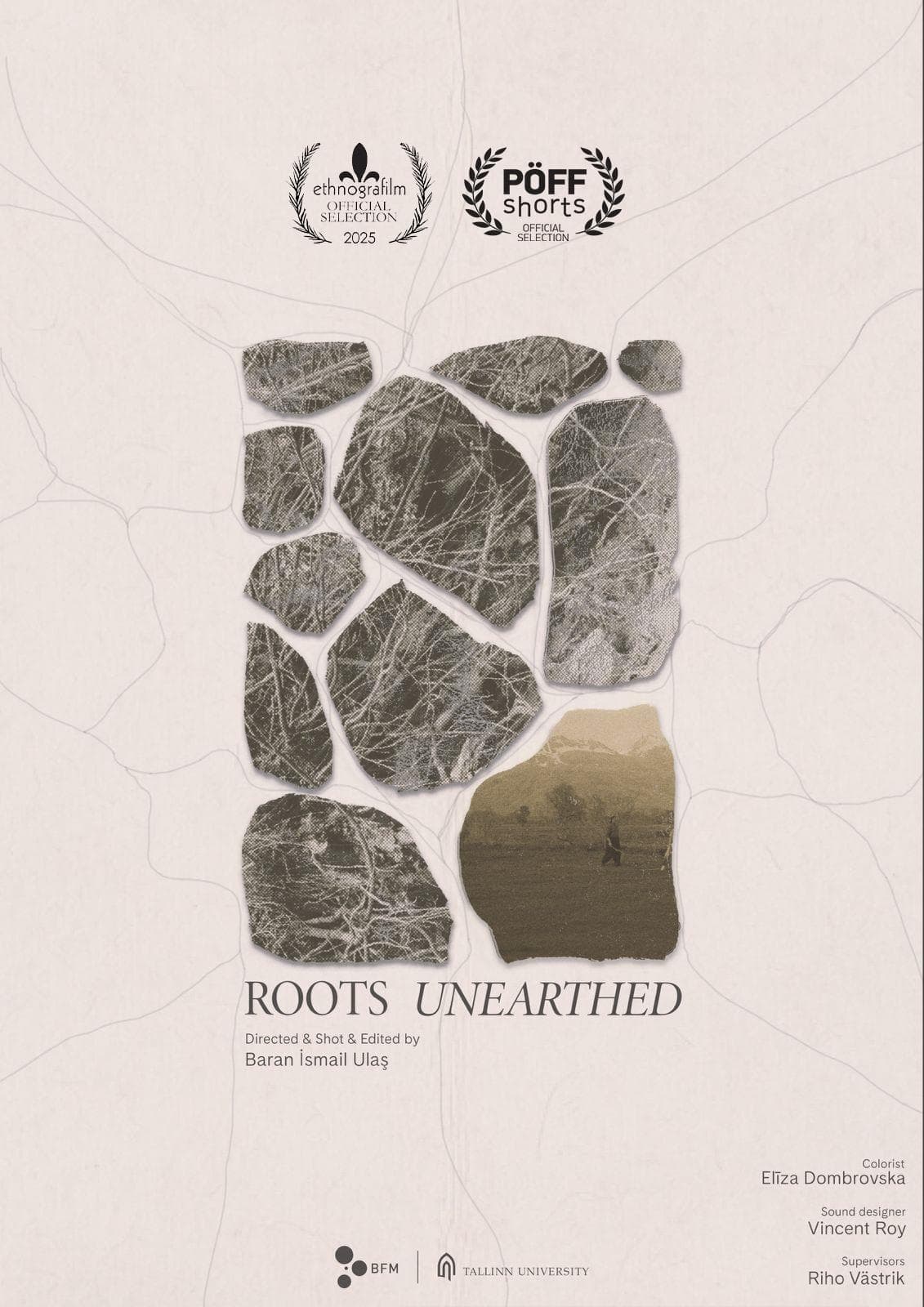 Roots Unearthed