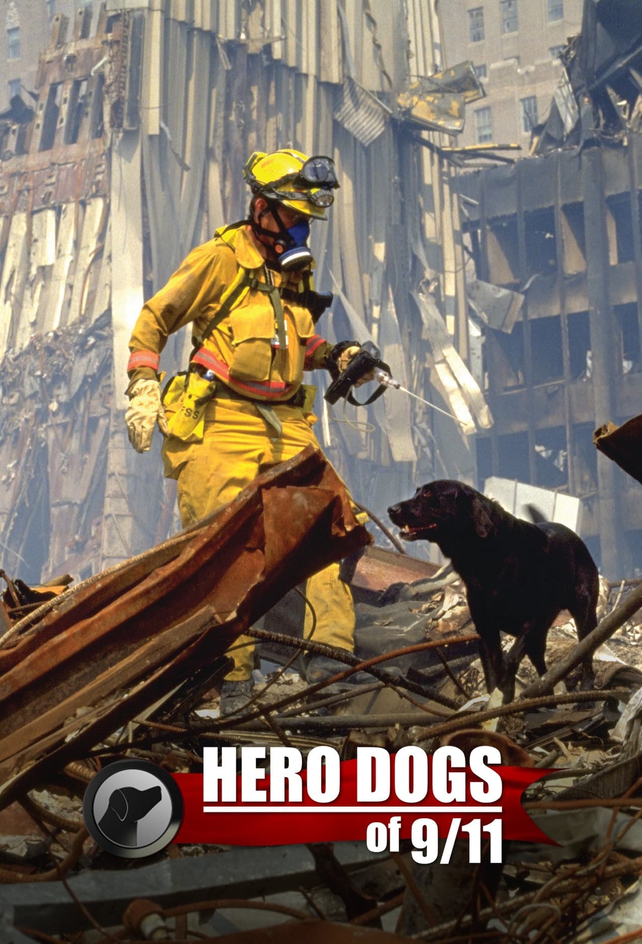 Hero Dogs Of 9/11