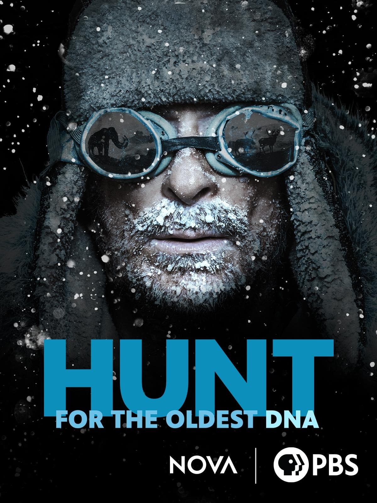 The Hunt for the Oldest DNA