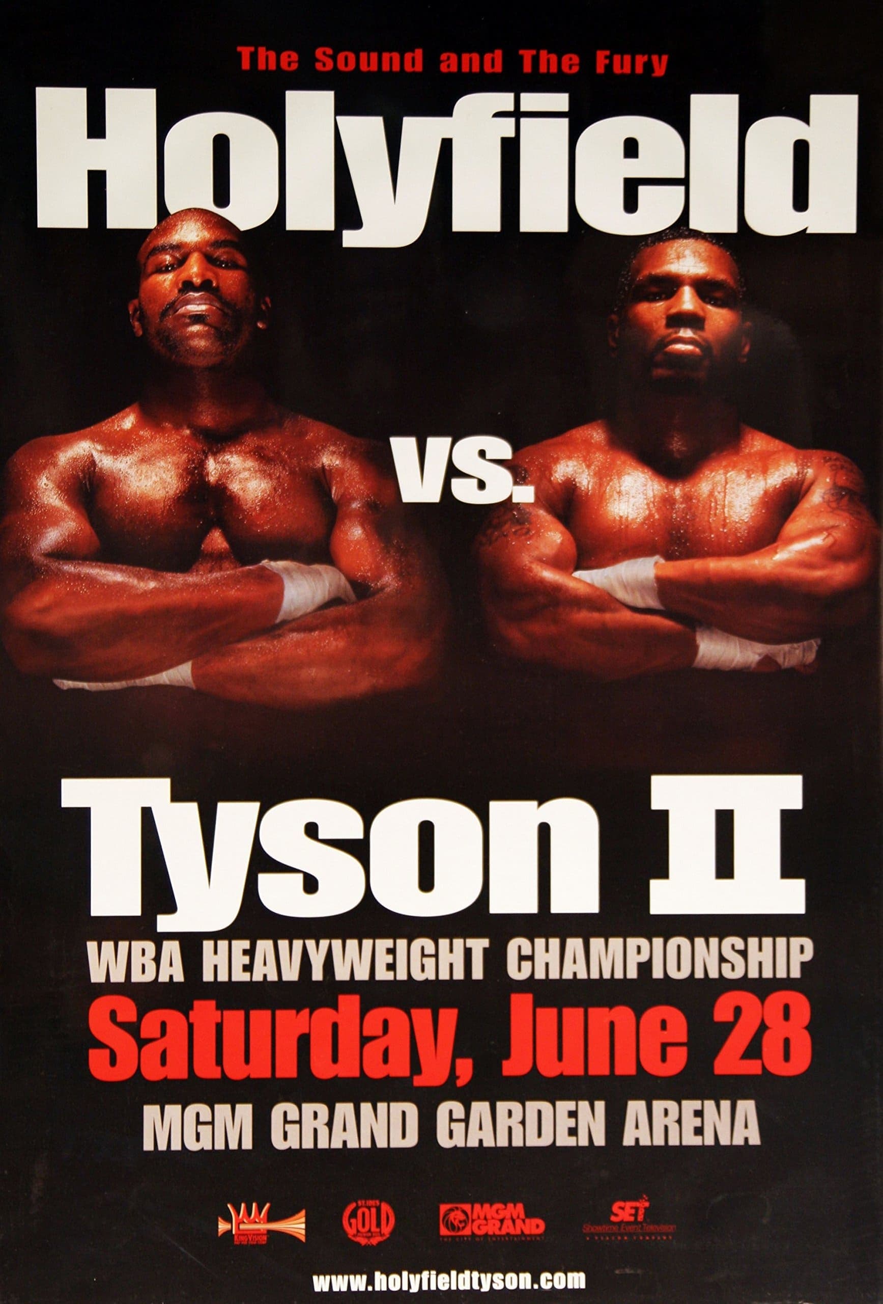 Mike Tyson vs. Evander Holyfield II