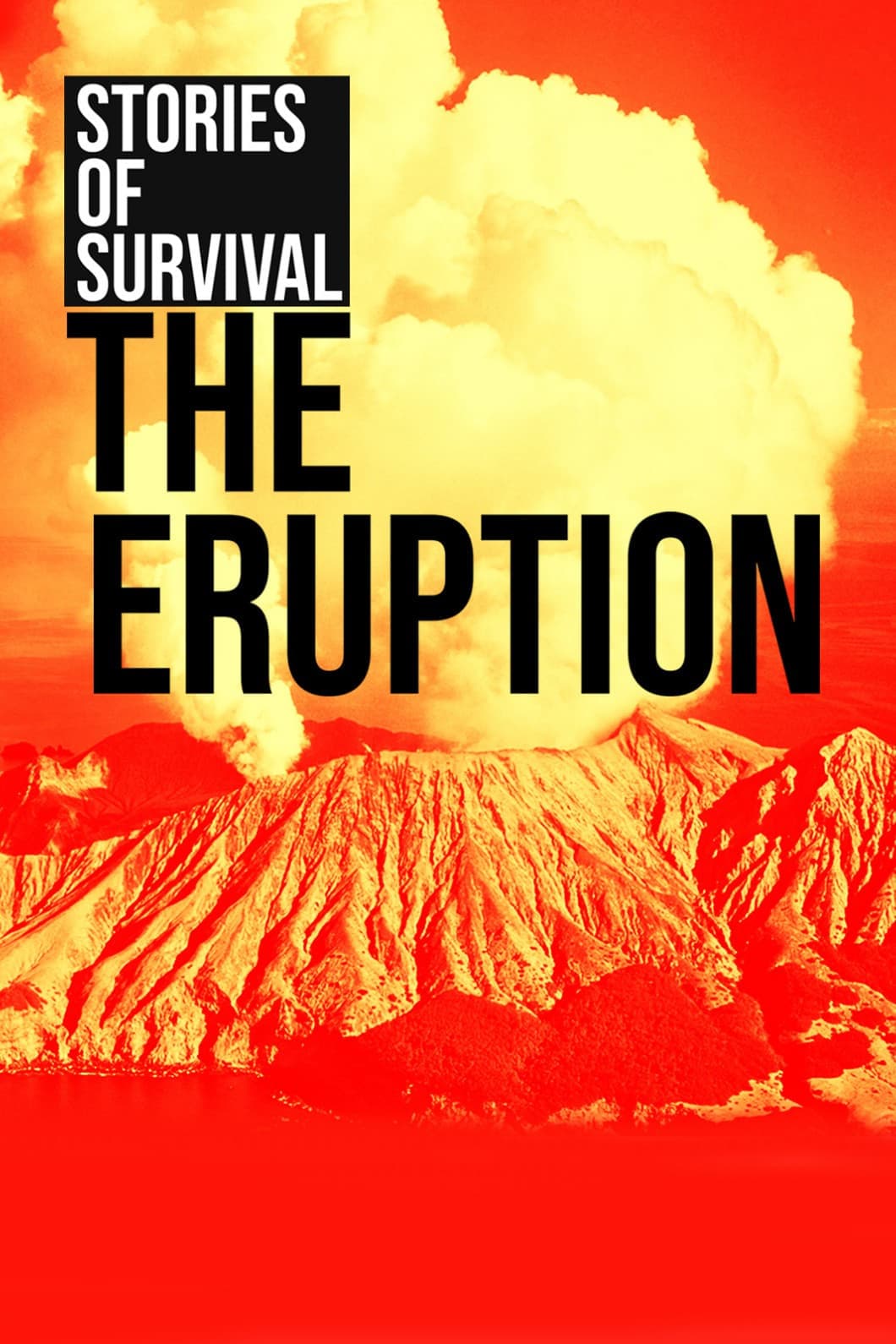 The Eruption: Stories of Survival