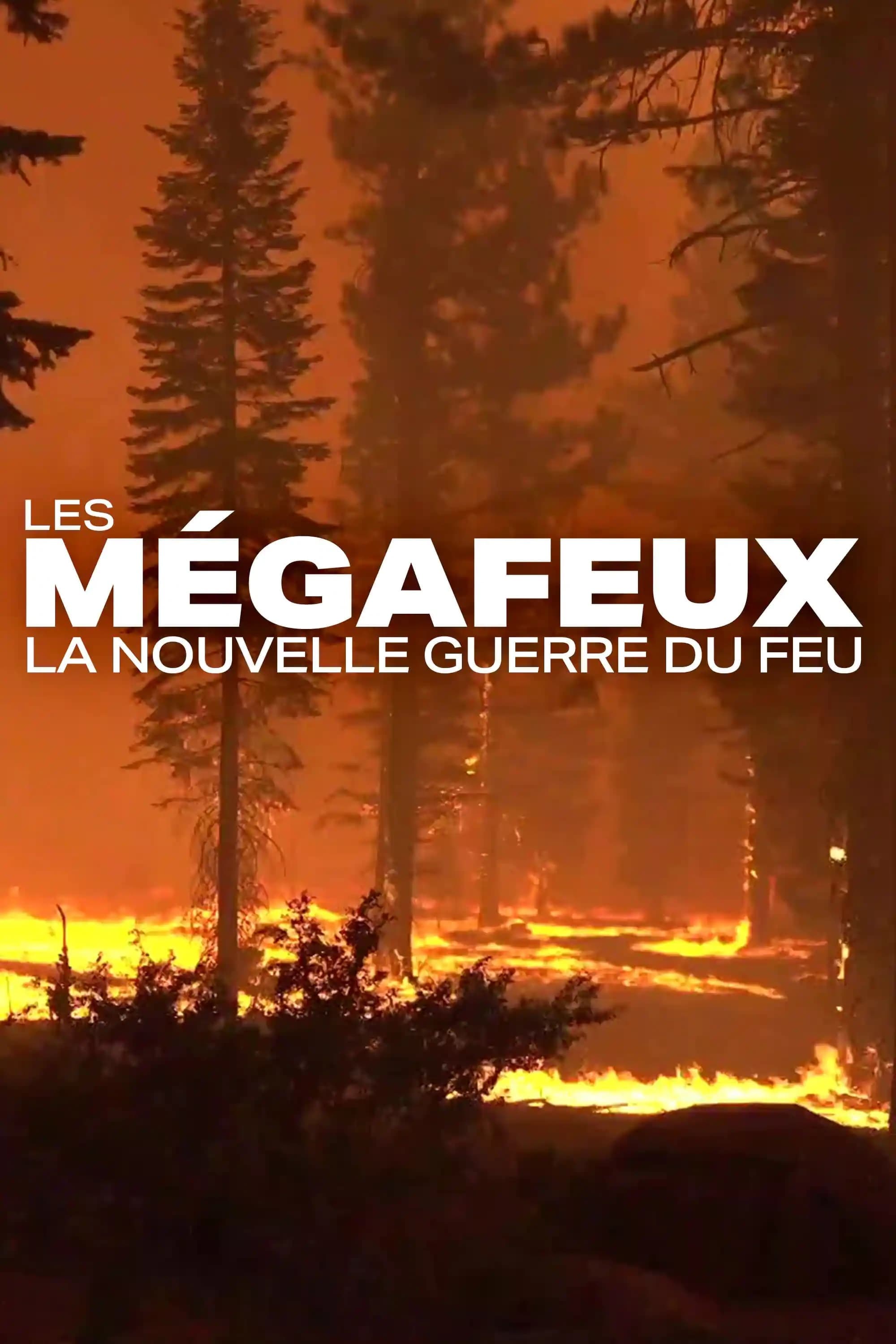 Les Mégafeux, la nouvelle guerre du feu