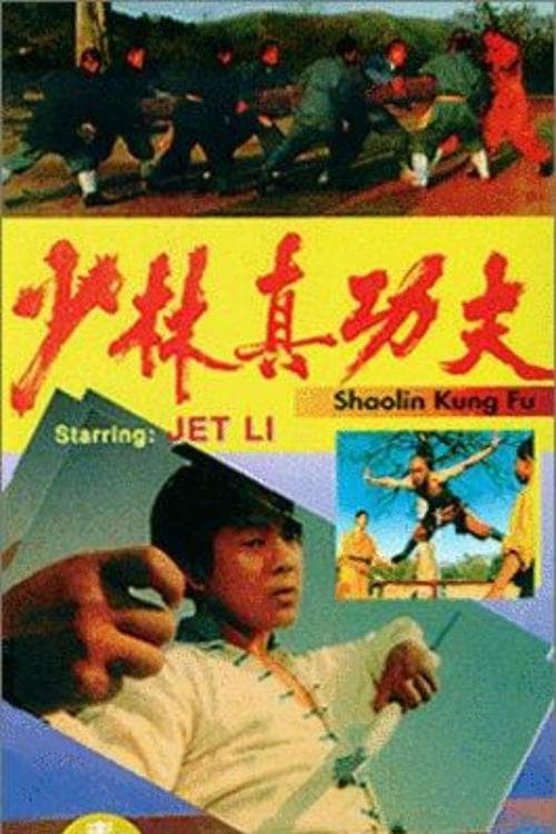 Shaolin Kung Fu