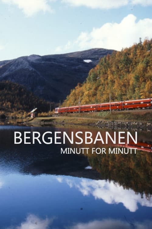 Bergensbanen Minute By Minute