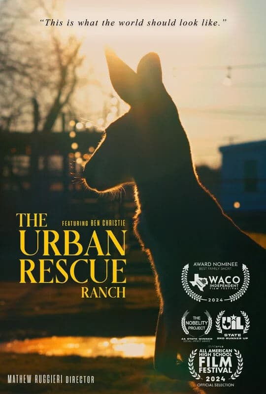 The Urban Rescue Ranch