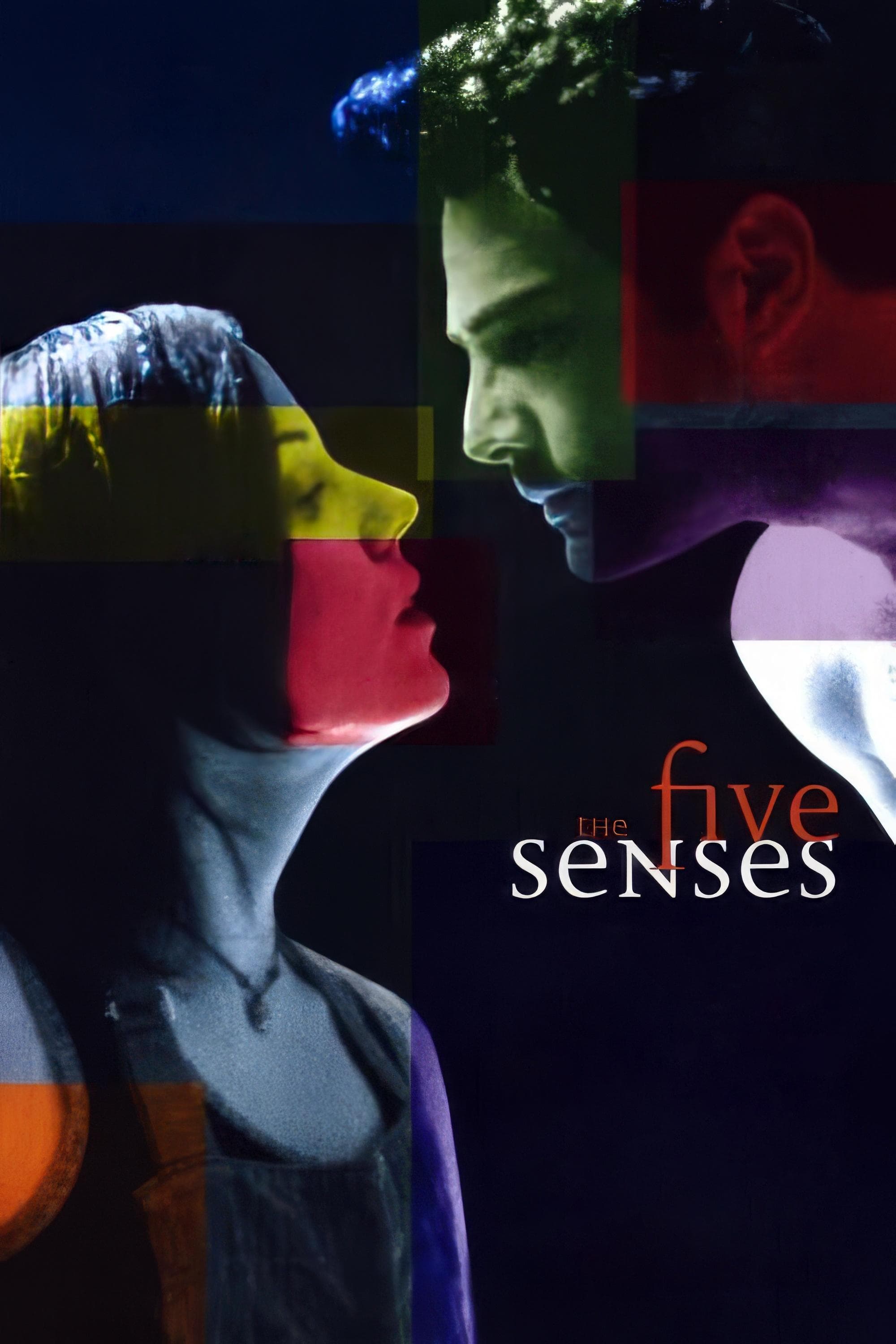 The Five Senses