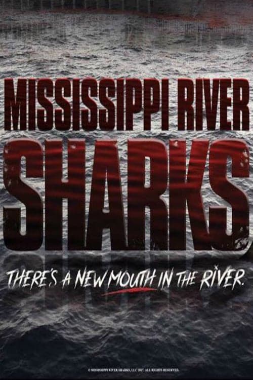 Mississippi River Sharks